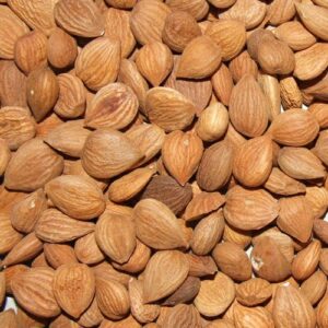 Apricot Kernels