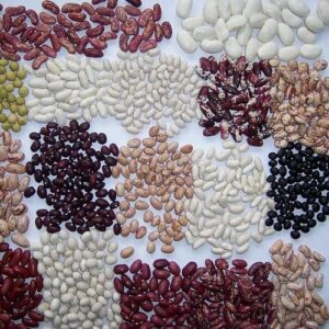 Kidney Beans