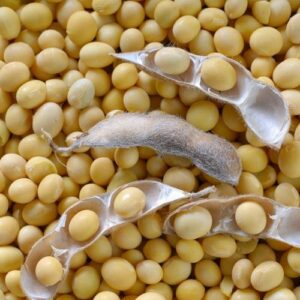 Soya Beans